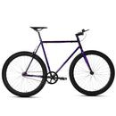 Golden Cycles PURPLE SAVAGE