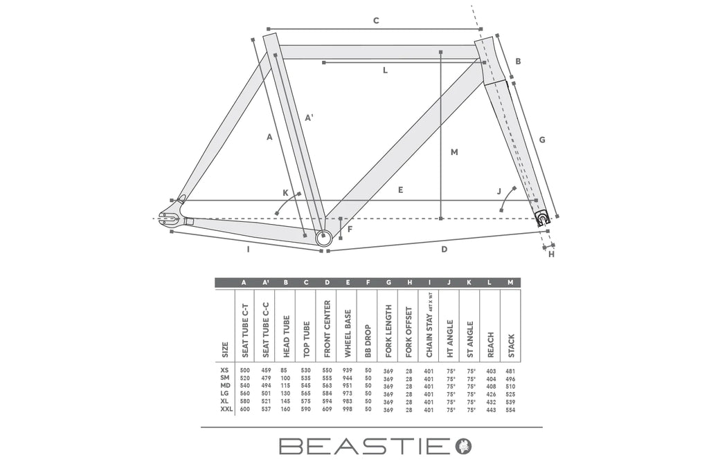 TYRANT BIKES BEASTIE Frame Setブローチャーズ