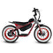 Strike Big Boy E-Bike Grey Skully