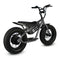 Golden Cycles Big Boy E-Bike Grey