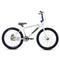 Throne Goon 24” Bike