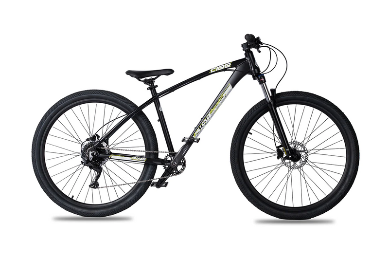 Collective C100 Calypso Black Bike 29” – Mr. Bikes