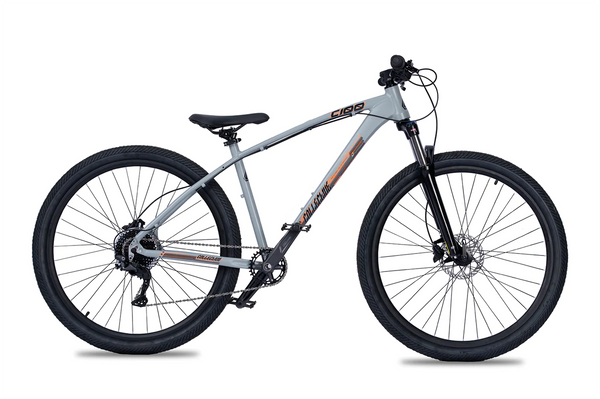 Collective C100 Calypso Grey Bike 29”