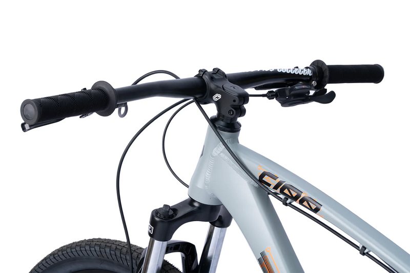 Collective C100 Calypso Grey Bike 29”