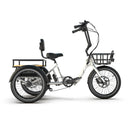 Electric Tricycle Bike White