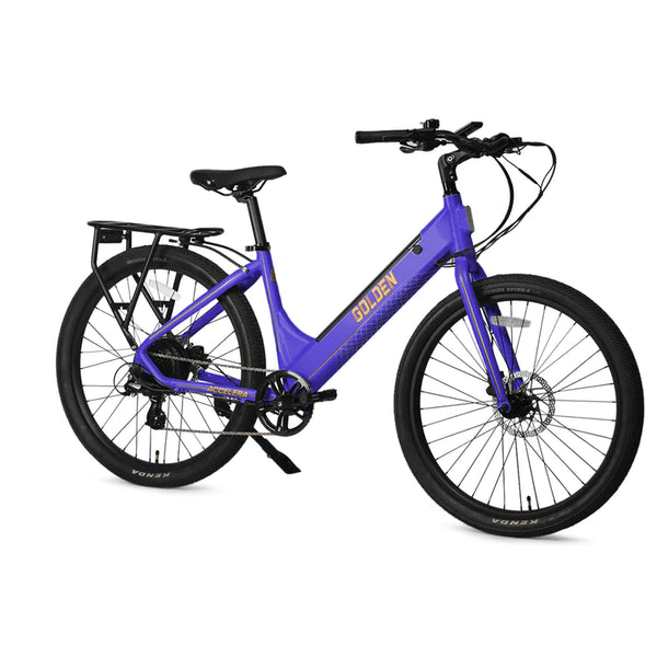 ACCELERA PURPLE PASSION E-BIKE